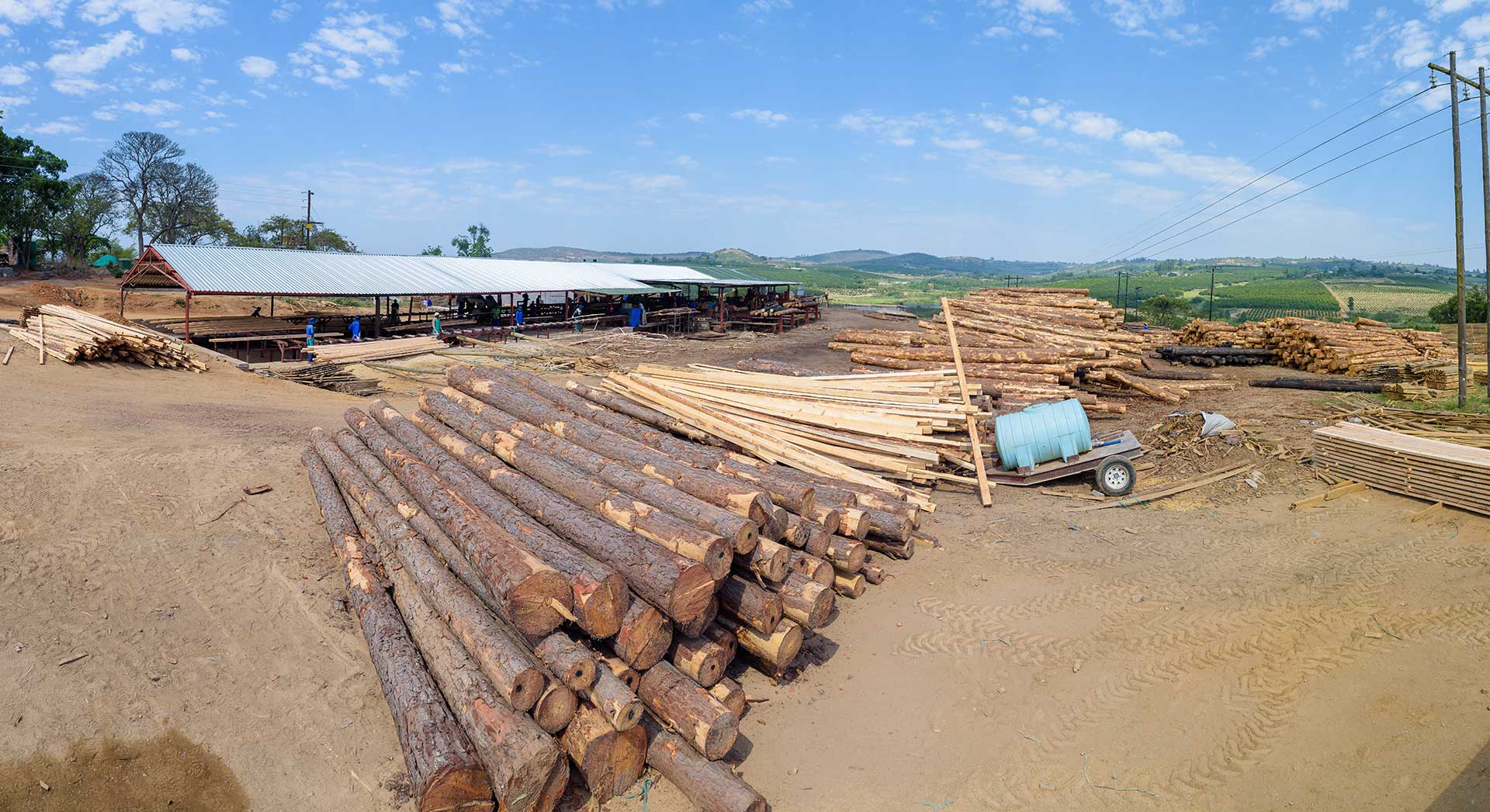 Capio Lumber Sawmill