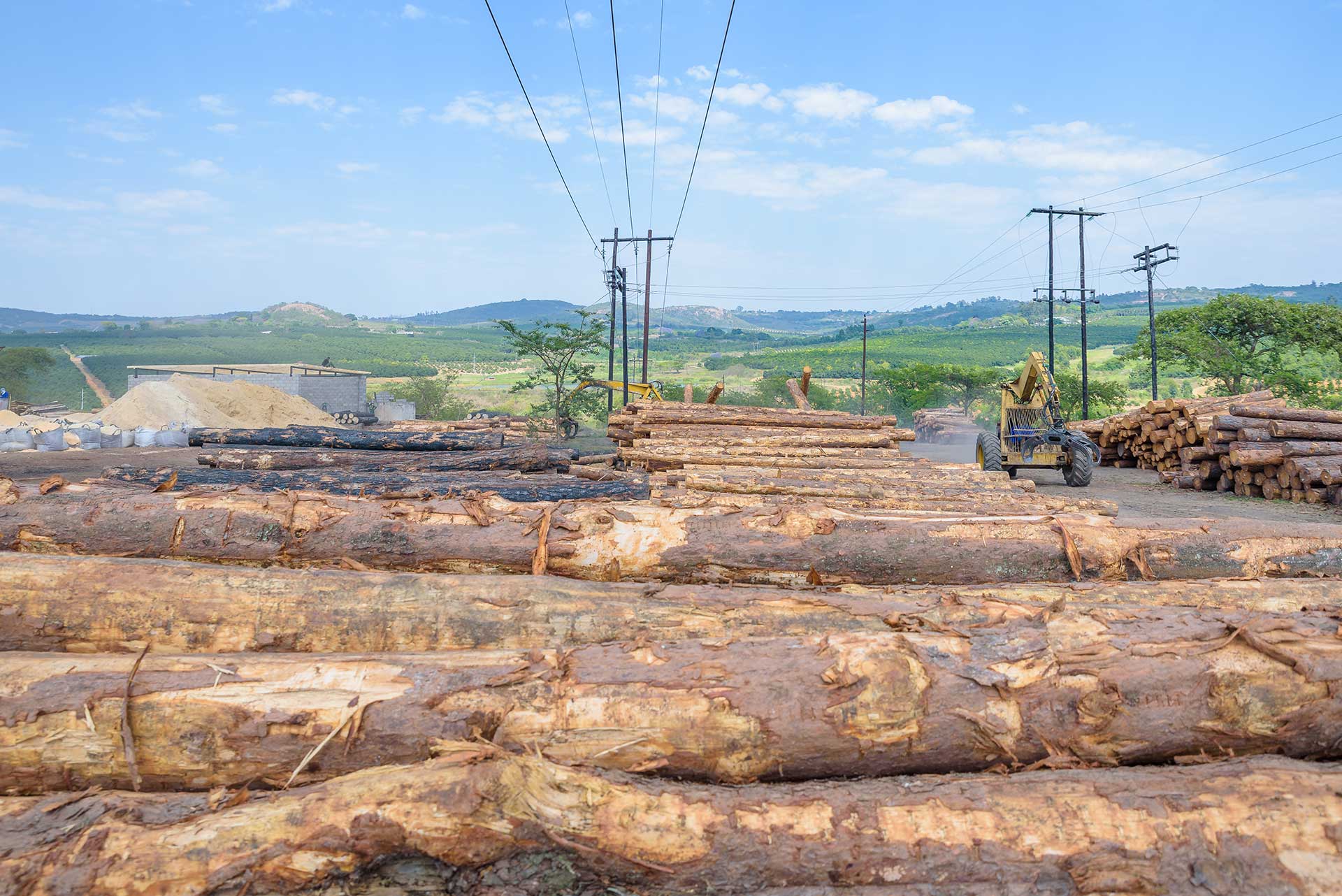 Capio Lumber Timber Merchants